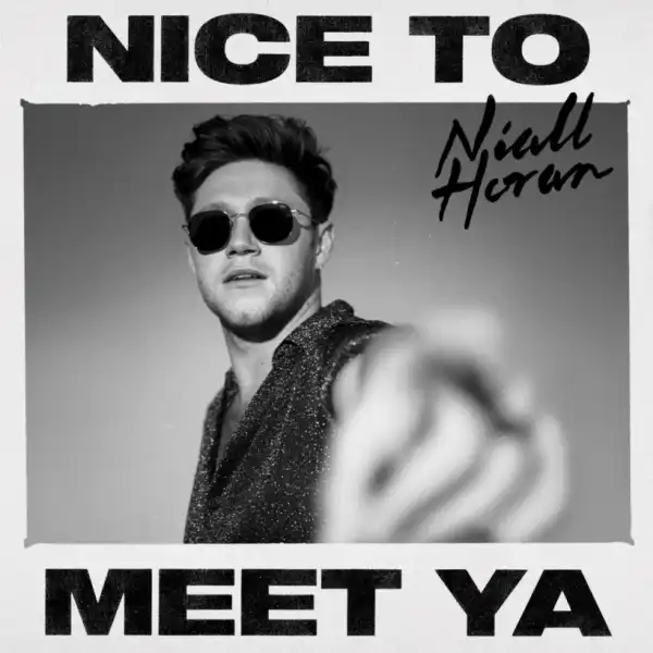 Niall Horan - Nice to Meet Ya